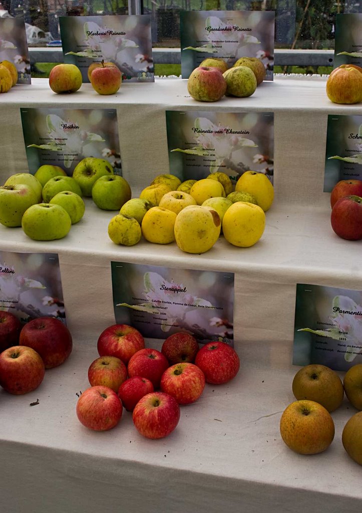 National Fruitexposition at the Fruithof, Frederiksoord by Erik van den Ham