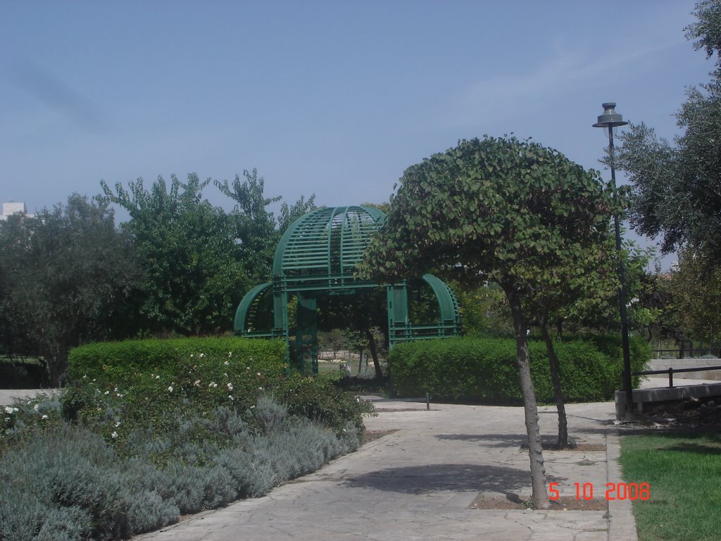 Jerusalem. .Park. .Agron Street by lubaphoto