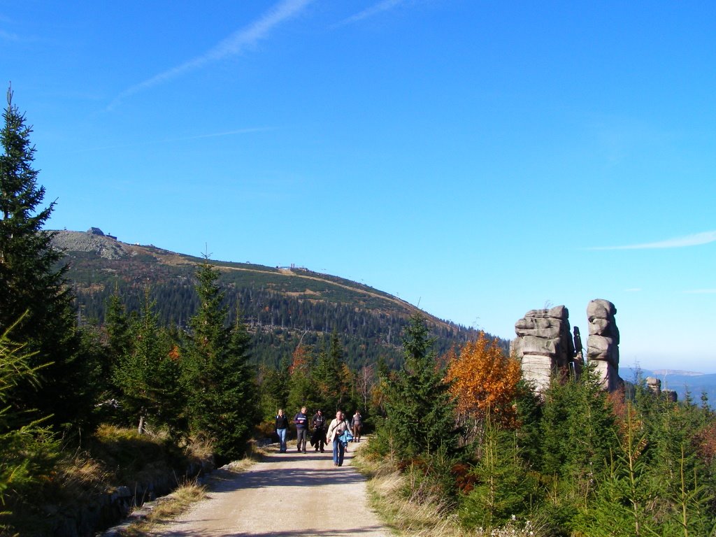 Yellow trail near Kukulcze Skaly by Dodge