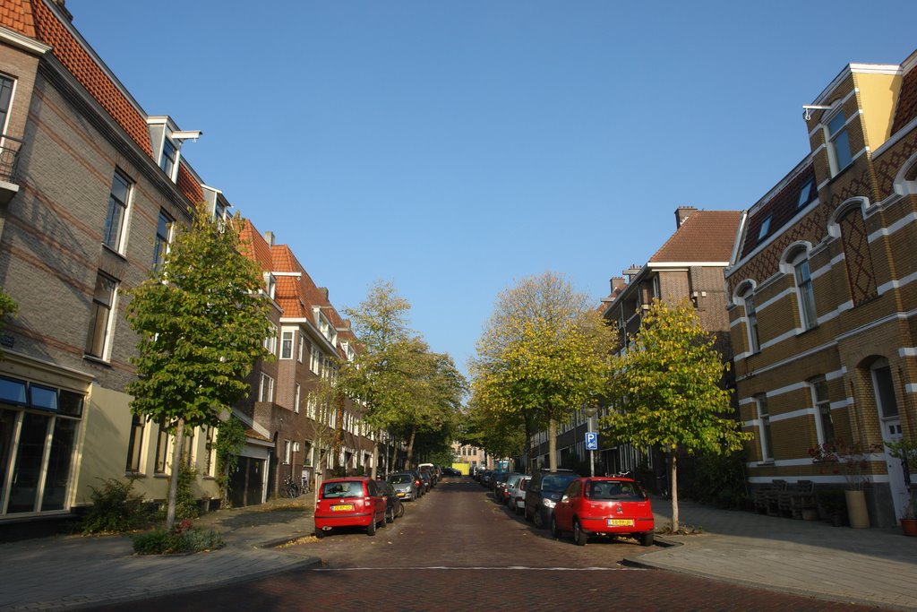 Pythagorasstraat, looking north from Hogeweg by charlesfred