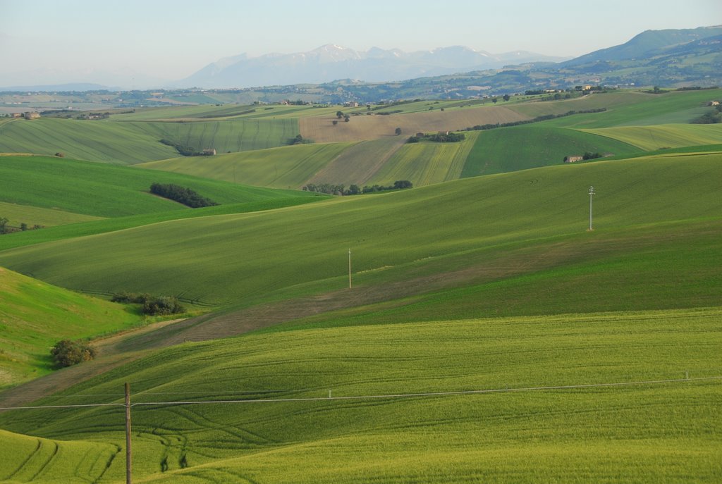 Panorama ( sullo sfondo i Monti Sibillini ) by Gino Romiti