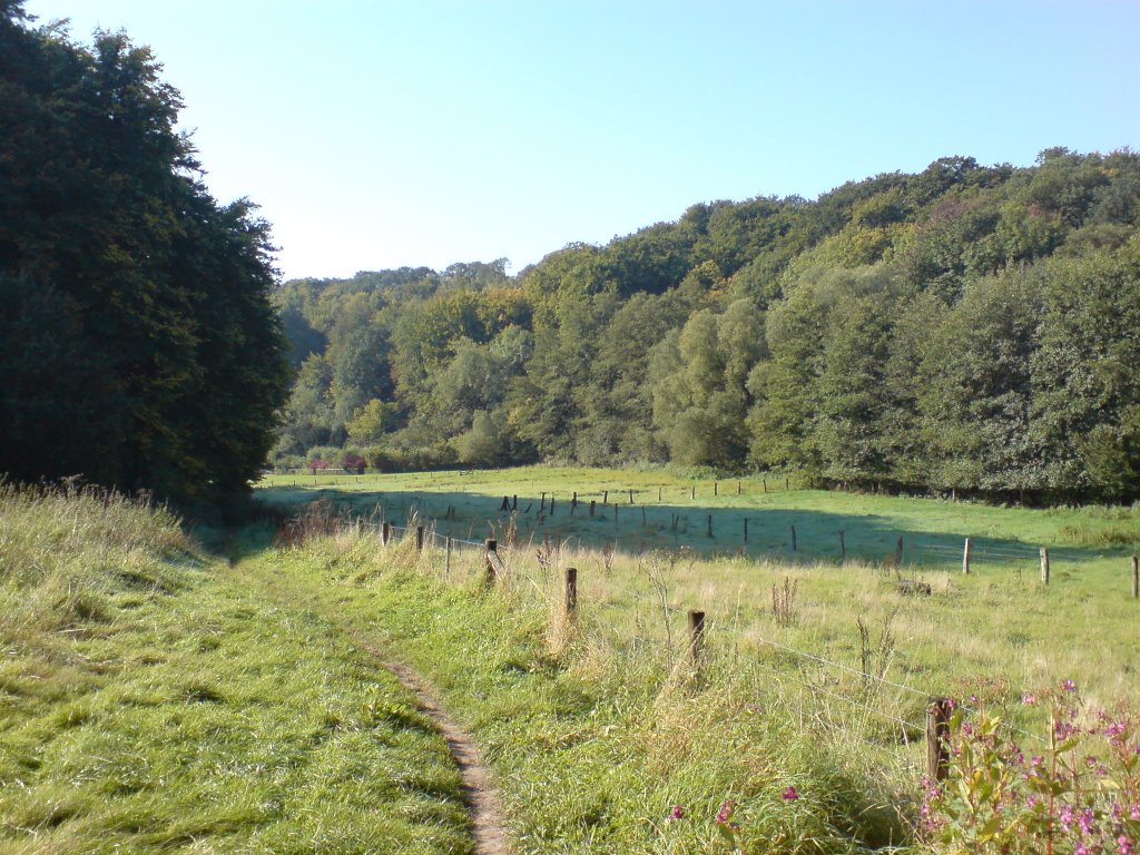 Weg zur Oelmühle by Ingo Steinfeld