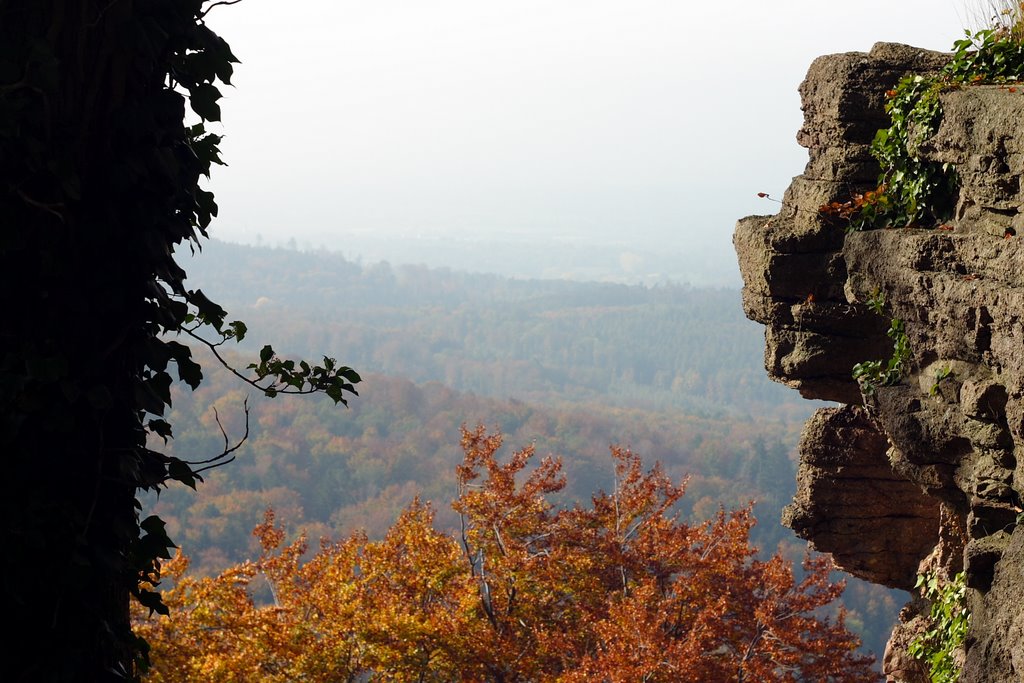 Ebersteinburg - Blick Richtung Oberrheingraben by rojo0001