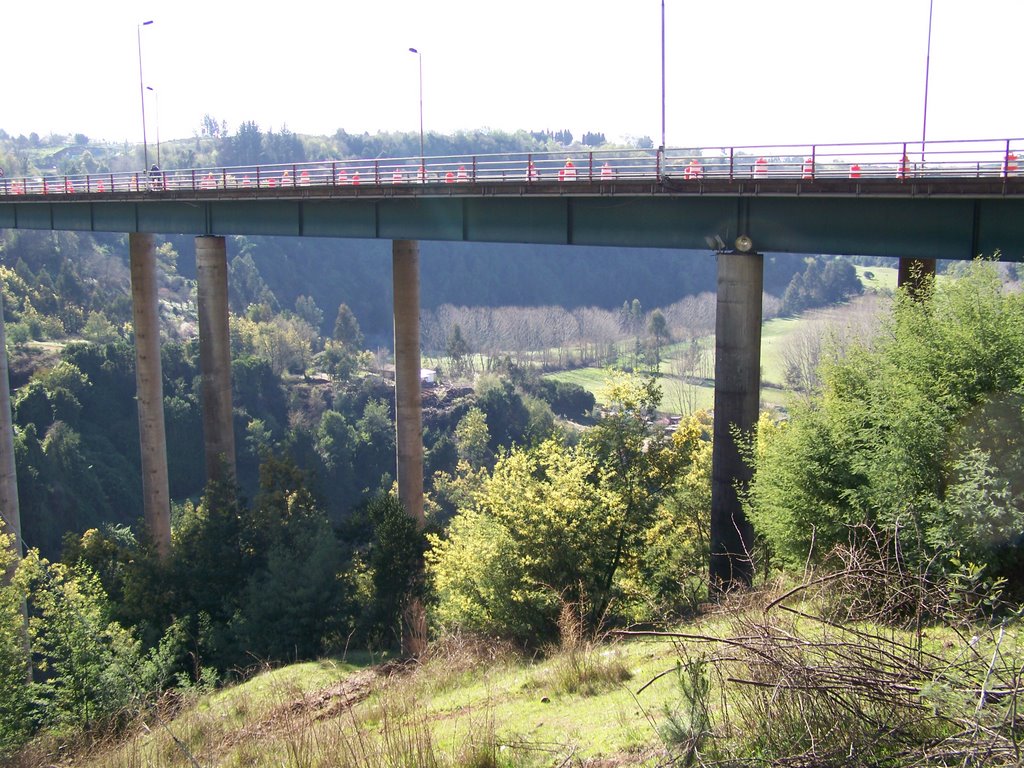 Puente Malleco Caminero by Manuel Narváez