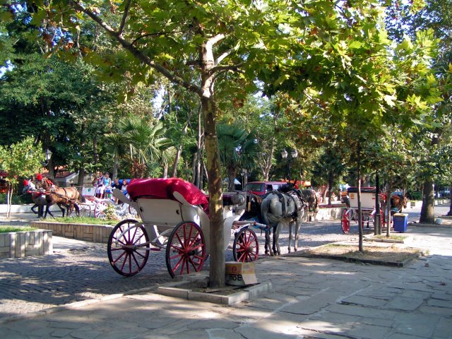 Sozopol - Horse Carriages by frischmilch