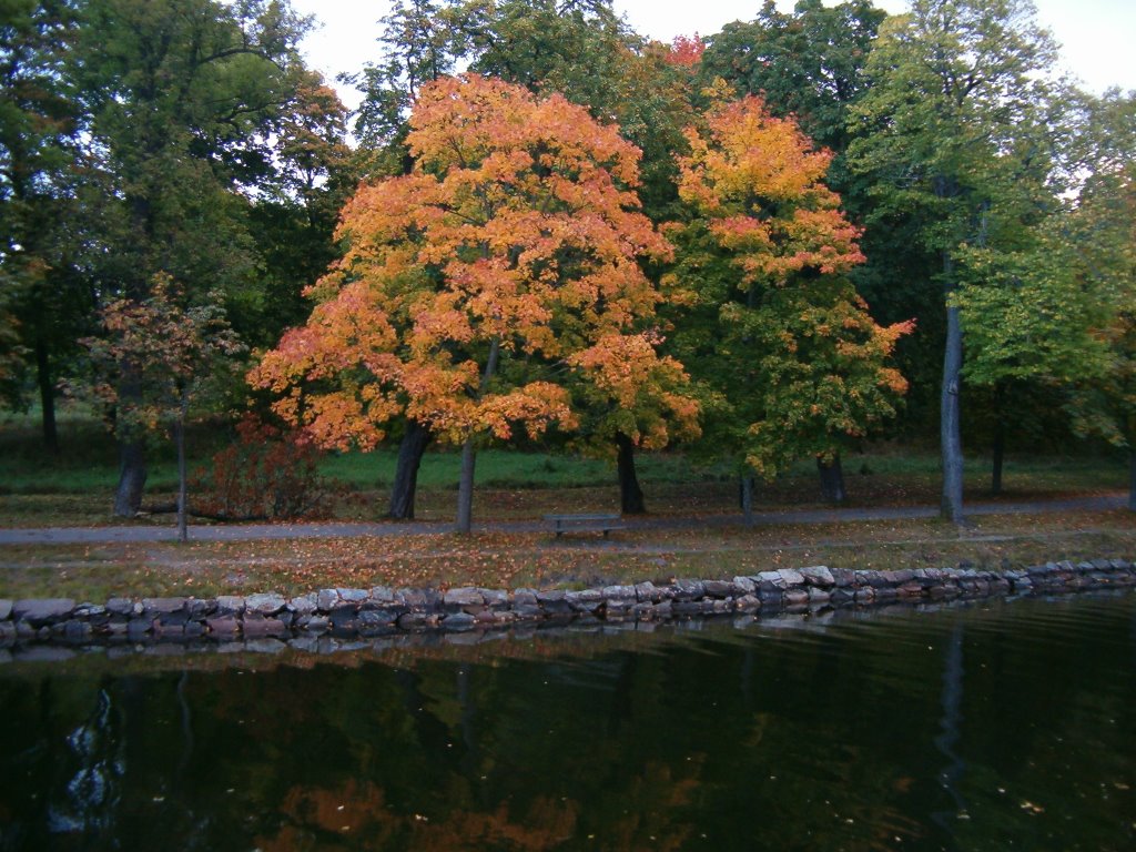 Djurgårdskanalen, autumn leaves by Colbright