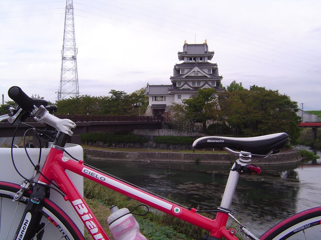 墨俣城 (Sunomata Castle) by ykako