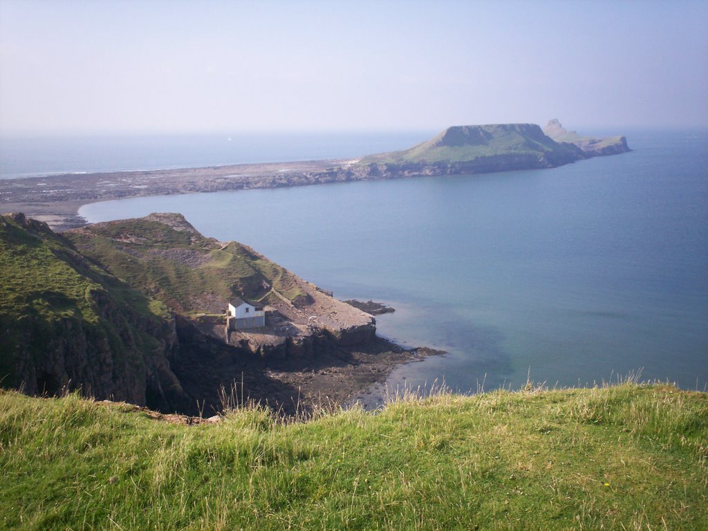 Worms head by dalet