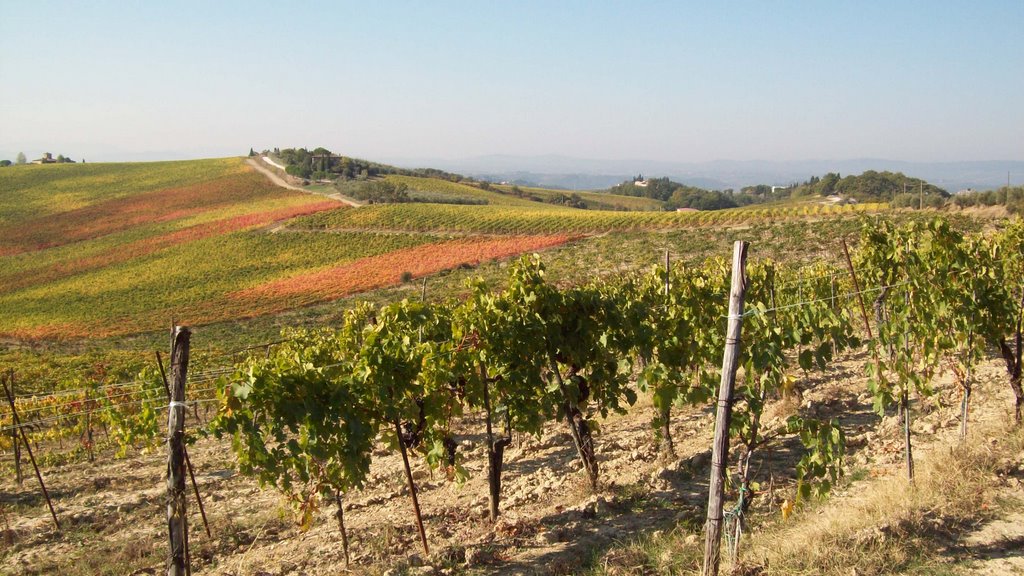 Vigneti di Villarosa in autunno by VALERIVS