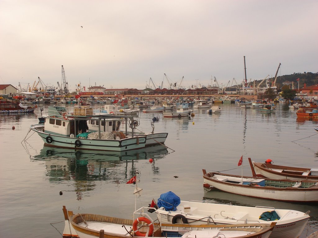 EREĞLİ by Zekeriya GÜNEY