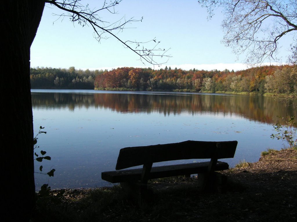 Bank im Herbst by buschko