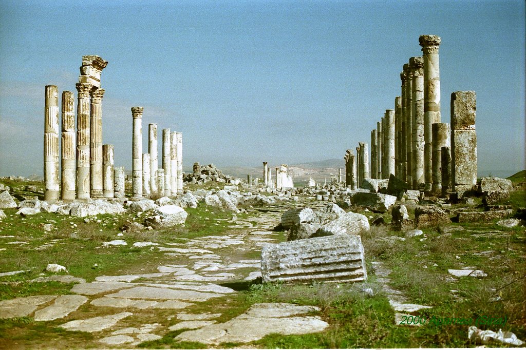 2000 il Cardo-Apamea (Siria) by Carlo Contessa