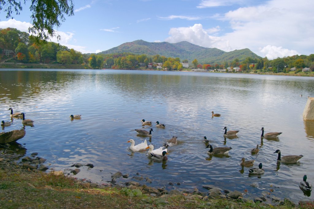 Lake Junaluska, looking west by Ralph Brenner