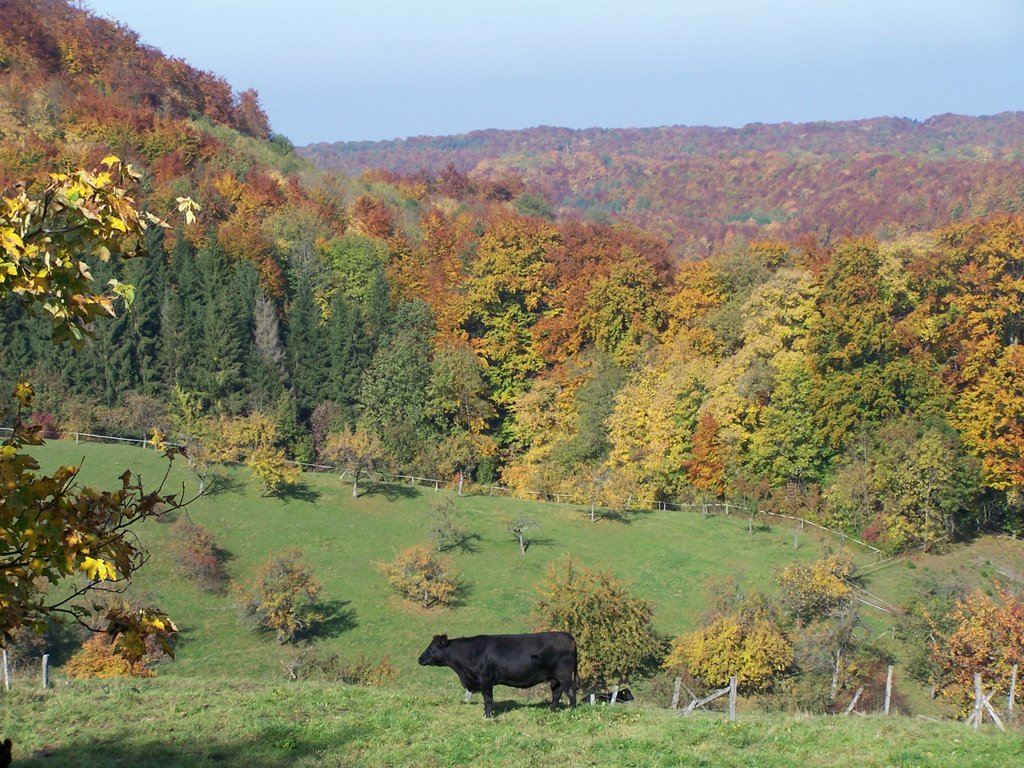 El Toro von Genkingen by Hartmut Scheuter