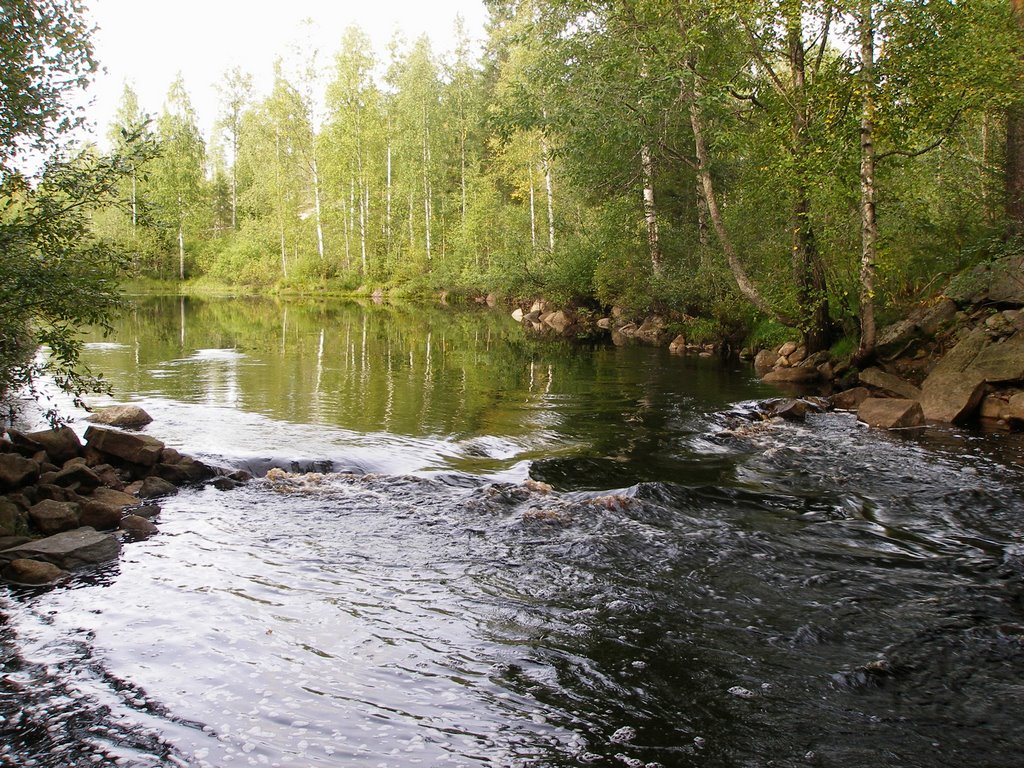 Nurmeksentie 1911, 73830 Nilsiä, Finland by Alexey Lazunin