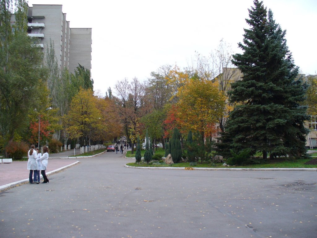 Студентческий городок медицинского университета. Das Städtchen Studentchesky der medizinischen Universität. by Konstantin Lazarev