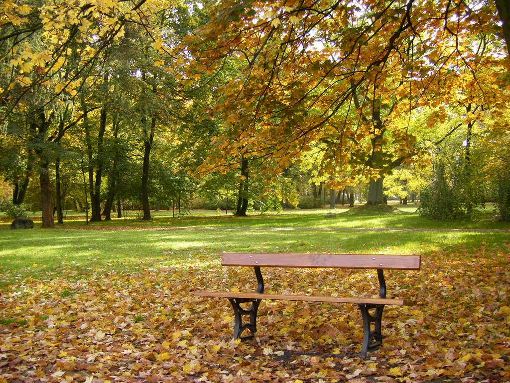 Łódź - Park Poniatowskiego jesienią - malby by malby