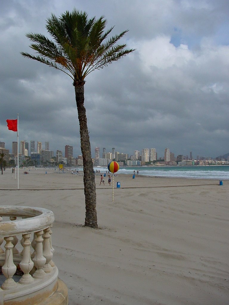 Playa Poniente by vivien69