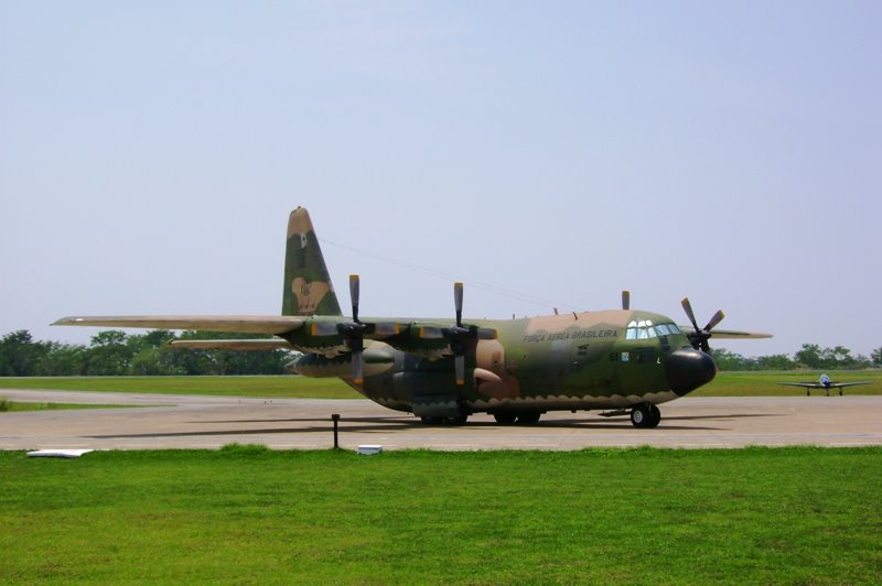 Hércules C-130 - Nave Mãe do EDA by Eduardo de Araujo Ma…