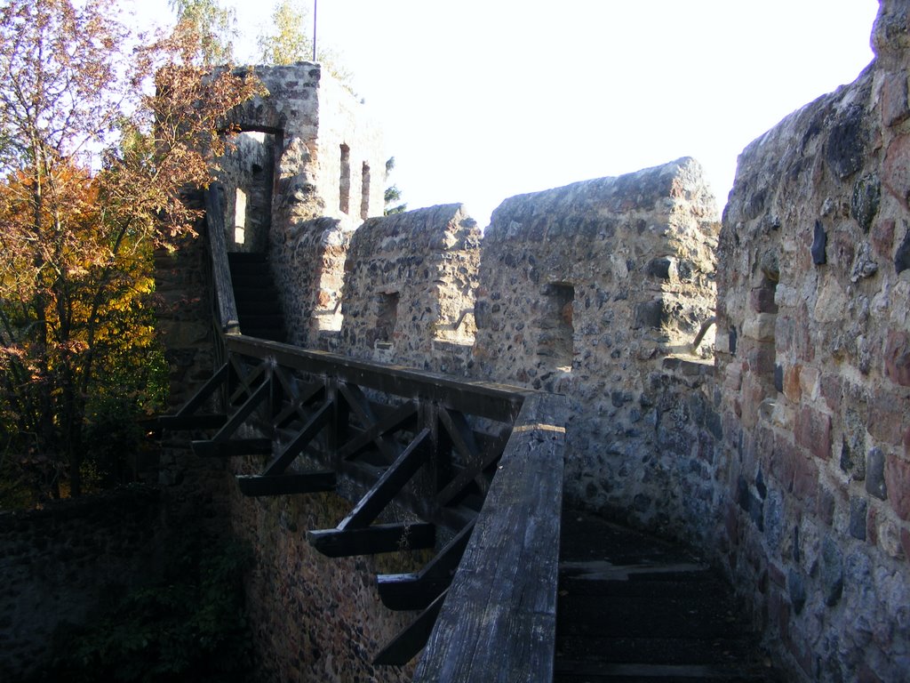 Der begehbare Wehrgang der Statdmauer in Hillesheim by Realblue