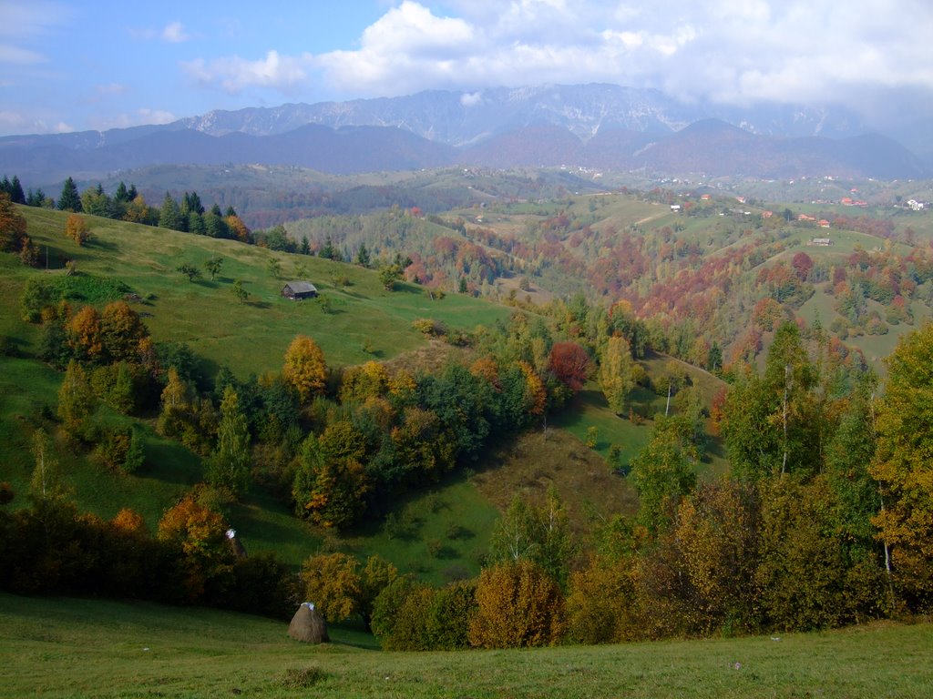 Vedere spre Piatra Craiului din zona Moeciu de Jos by Gabriel Avramovici