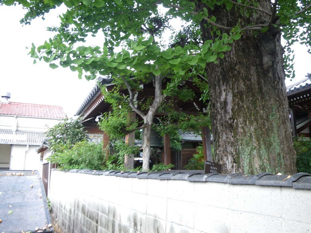 Enkei-ji Temple　圓慶寺 鐘楼 by murakami.cc