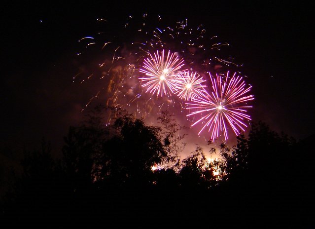 Echirolles, feu d'artifice de la Frange Verte (14 Juillet 2007) by Nicole Thiemonge