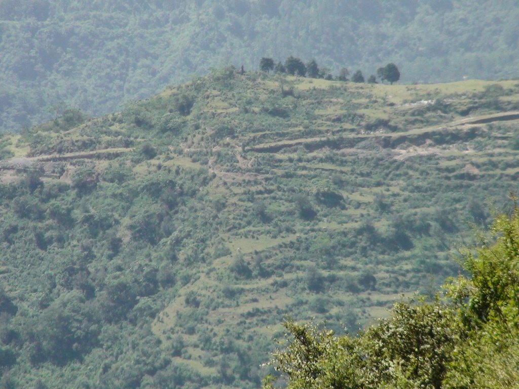 Lost in the hills by Kaushik Biswas