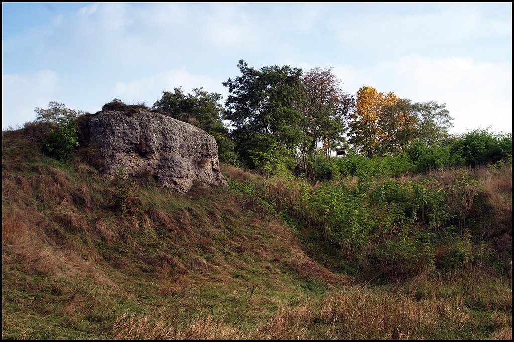 Rezerwat Przyrody w Skorocicach by LaszczakJ