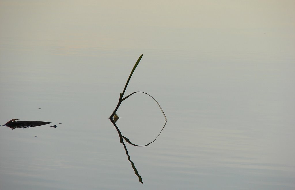 Reflet - LBo by Laurent BOUCHARD