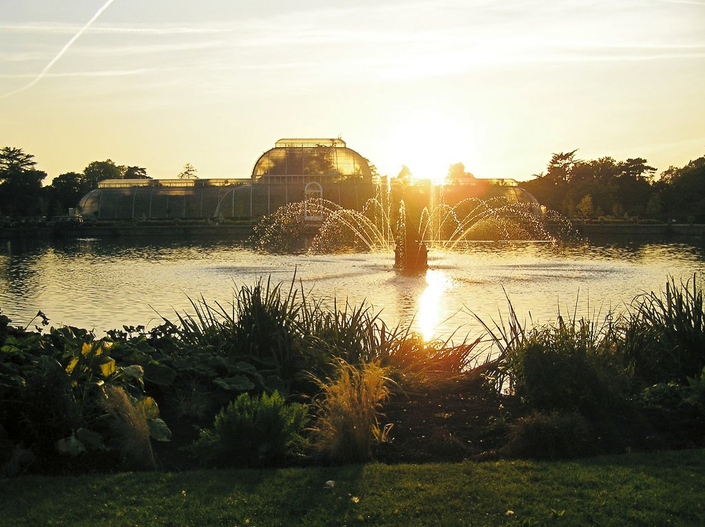 Sunset at Kew by Matilde Aguilera