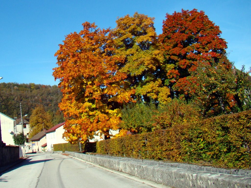 Moirans en automne by Courtin jerome