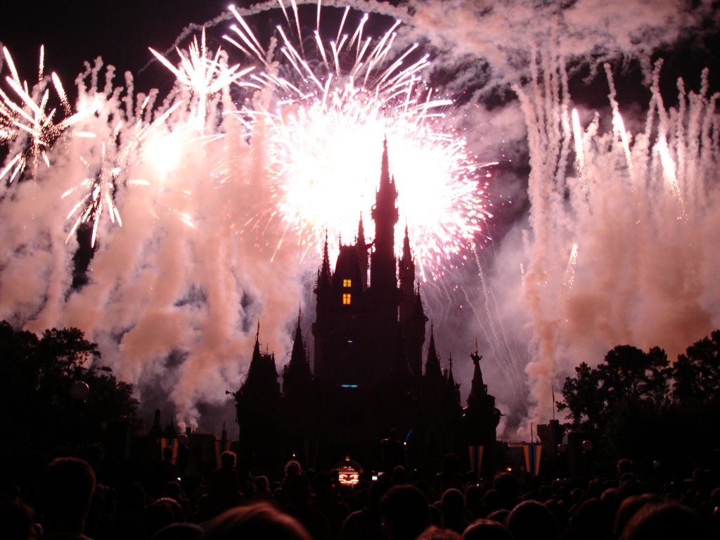 Cinderella's Castle - Wishes by robferre3