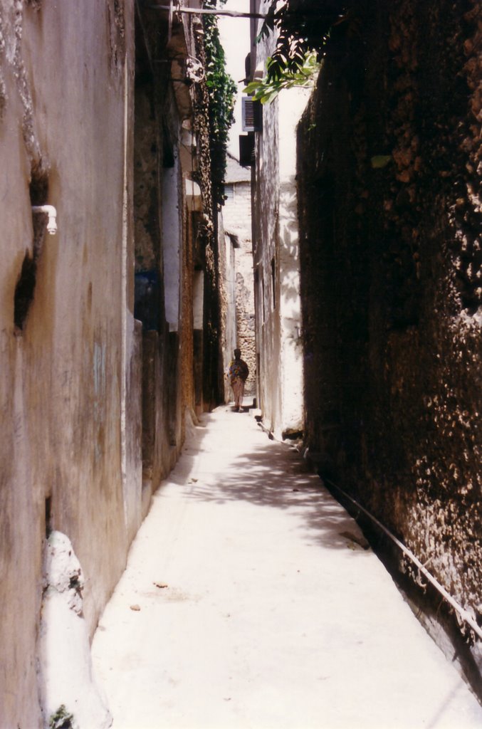 Lamu Mainstreet by Henry.C.M.James