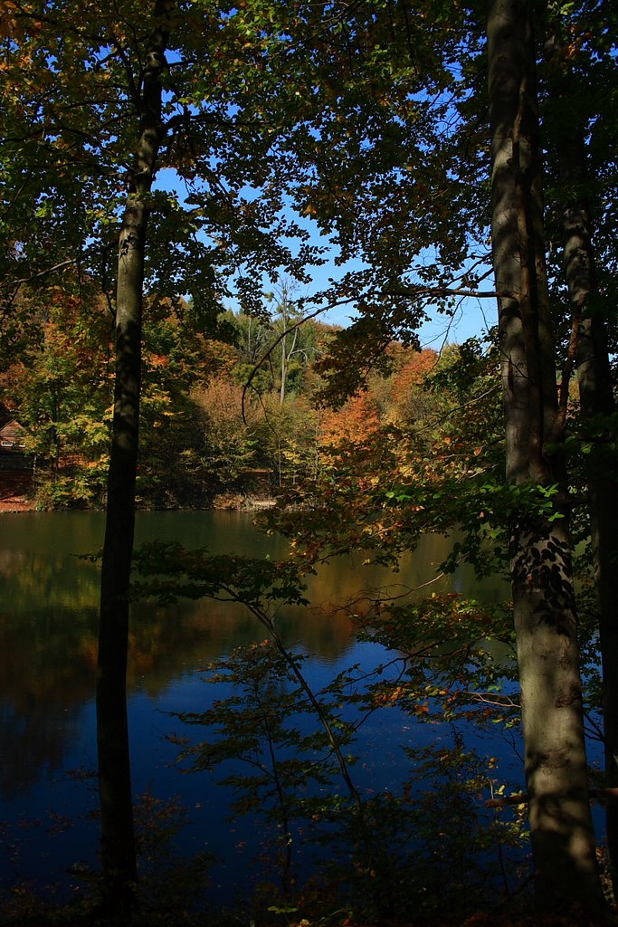 Ősz a tónál (Autumn at the lake) by -=gatyi=-