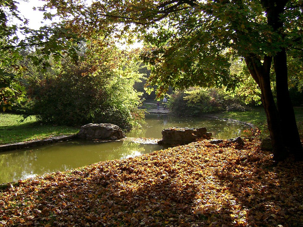 The English Park - Angolkert, Tata, 12.Oct,2008 by PanoramioHungary