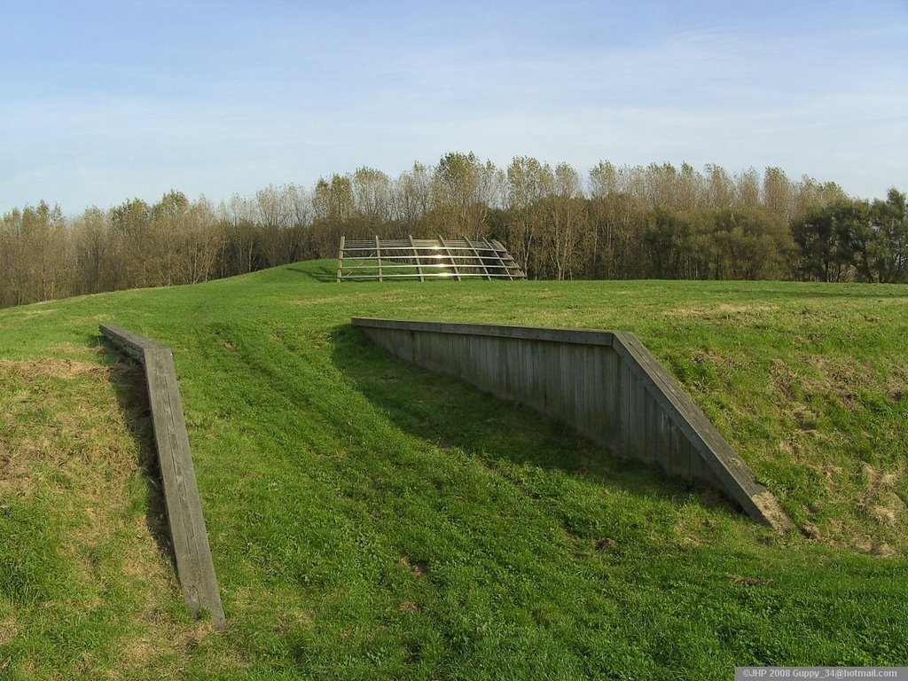 Viewpoint De Tribune - Midden-Delfland by guppy_34