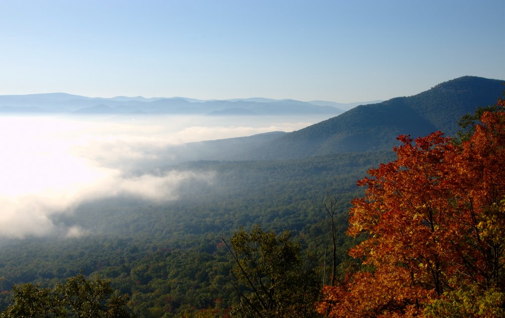 First signs of autumn in the Blue Ridge by rubble