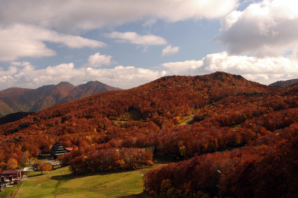 Autumn colors of zao 蔵王の紅葉景色 by Timothy Sullivan