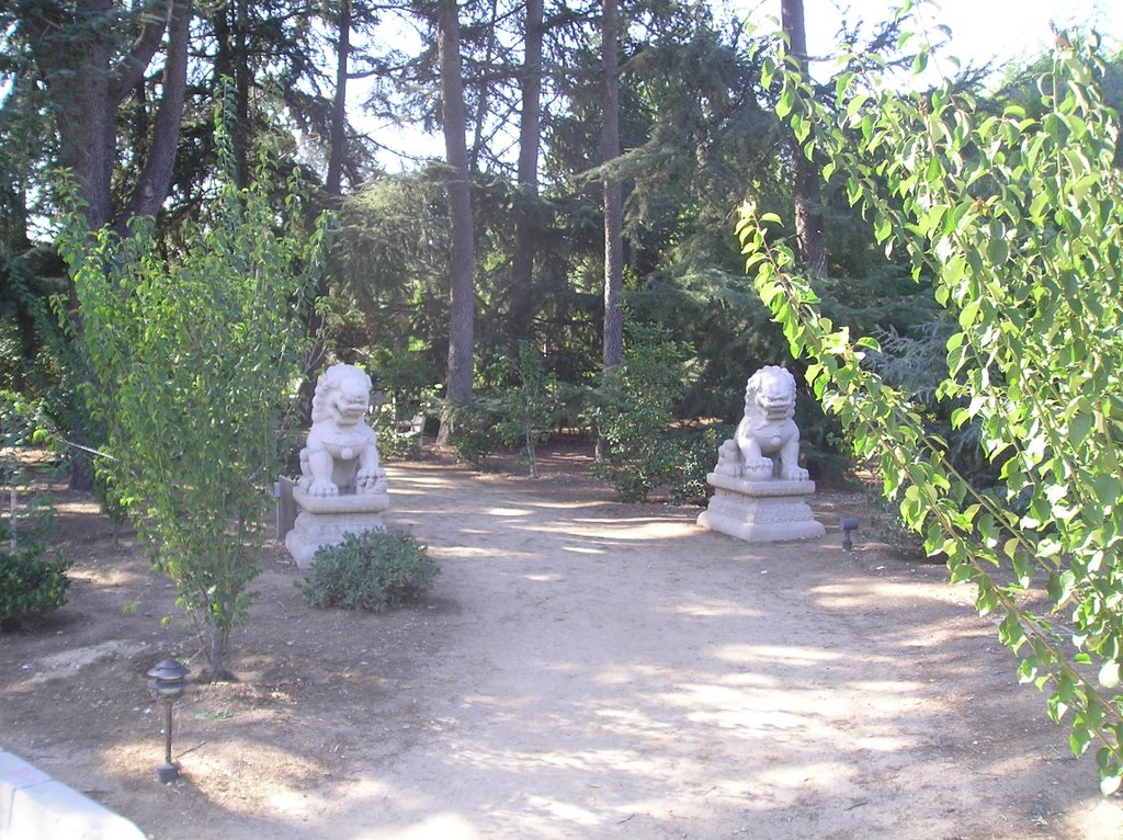 Stone lions outside the Chinese garden by jim61773