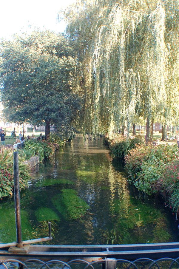 The river itchen from winchester gardens by StudioMax.co.uk