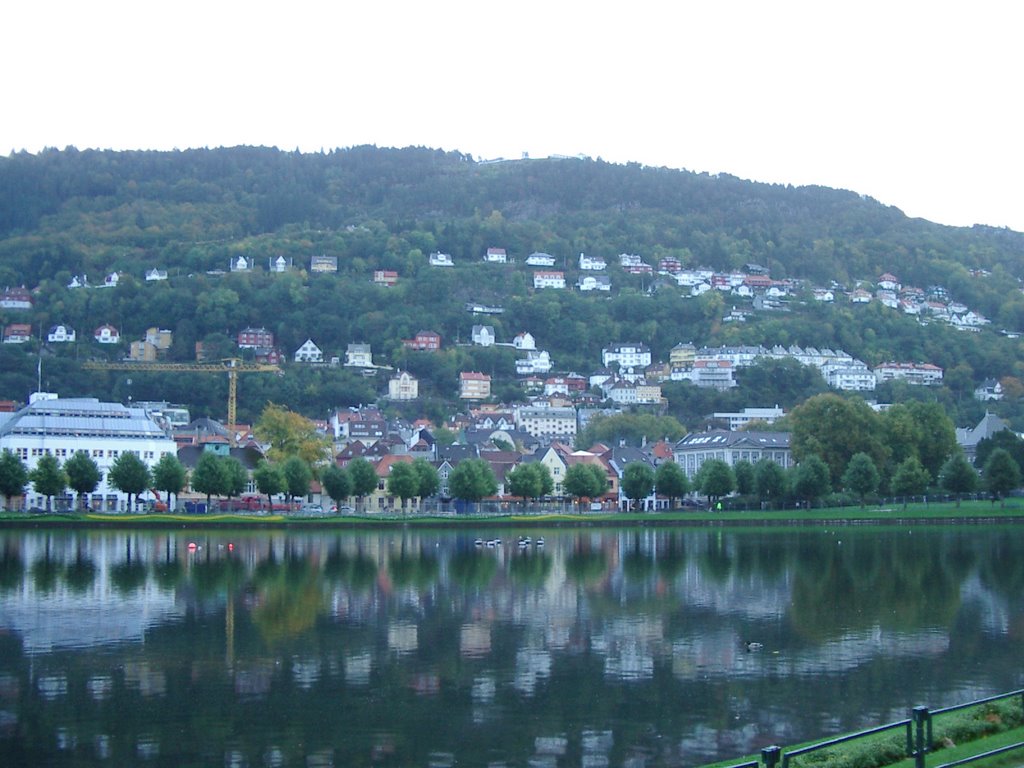 Bergen, Lake by Sergio Kuzel