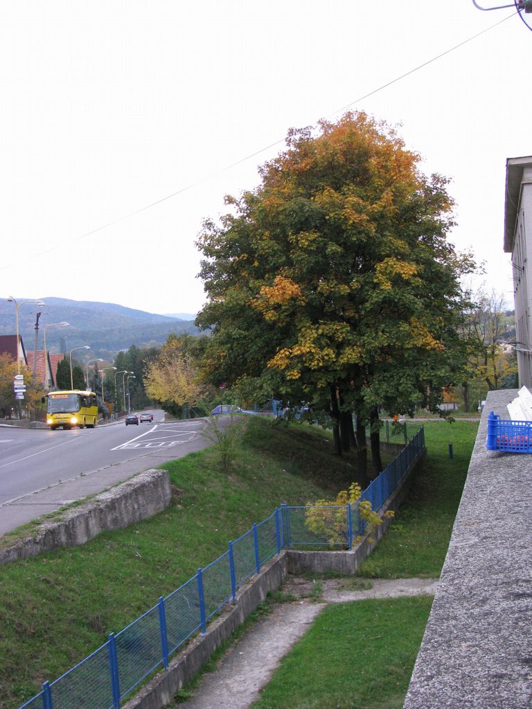 Zastávka Dubnica, slobodáreň by kolobezka