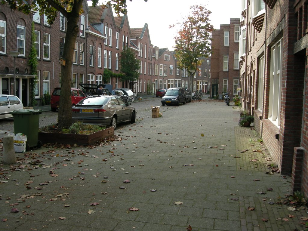 Cornelis Trompstraat Delft herfst 2008 4 by omv