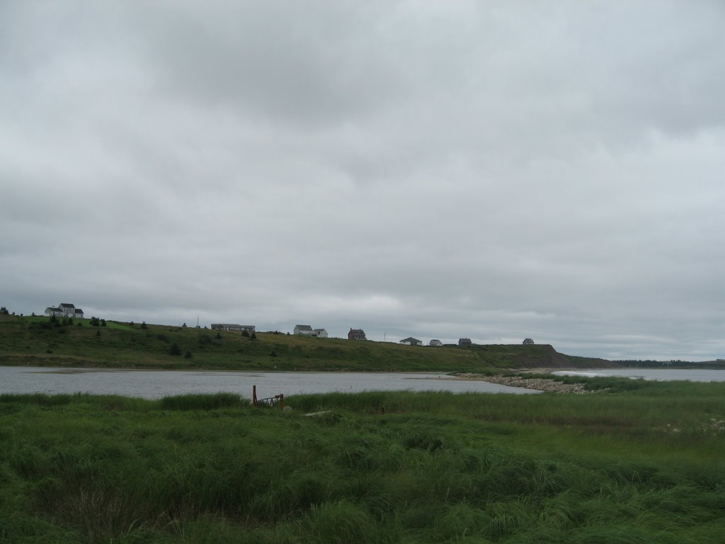 Hirtle's Pond (facing east) - August, 2008 by p_m_y