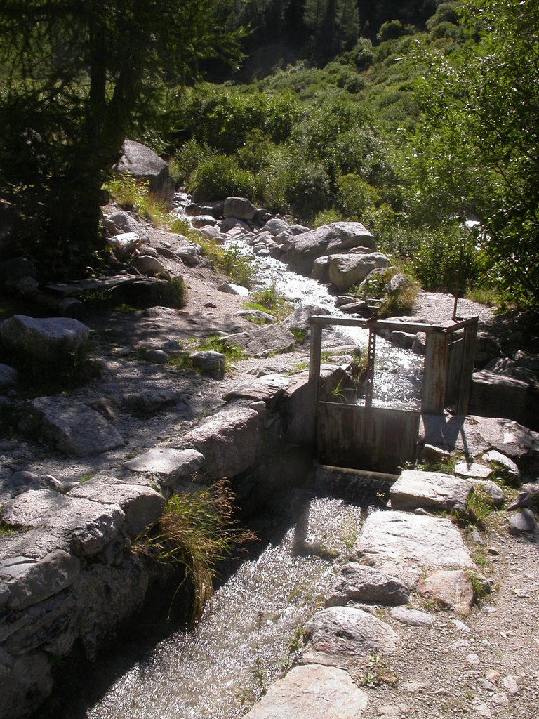 Bisse de Trient-Combé, Schöpfe by subrolita