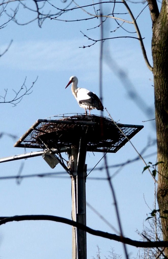 Nicht im Dienst! Storch / Tiergarten Worms by Peter W. Ehl