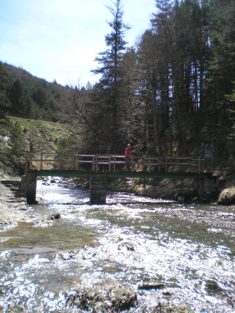 Río Veral _Valle de Zuriza by castizo