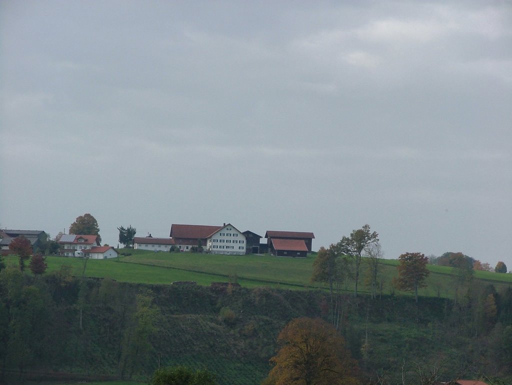 Blick über die Iller nach Bergs by richardmayer