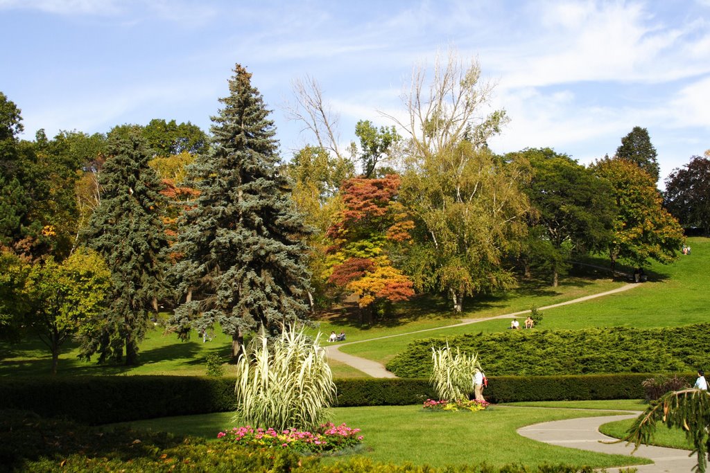 High Park by baitar